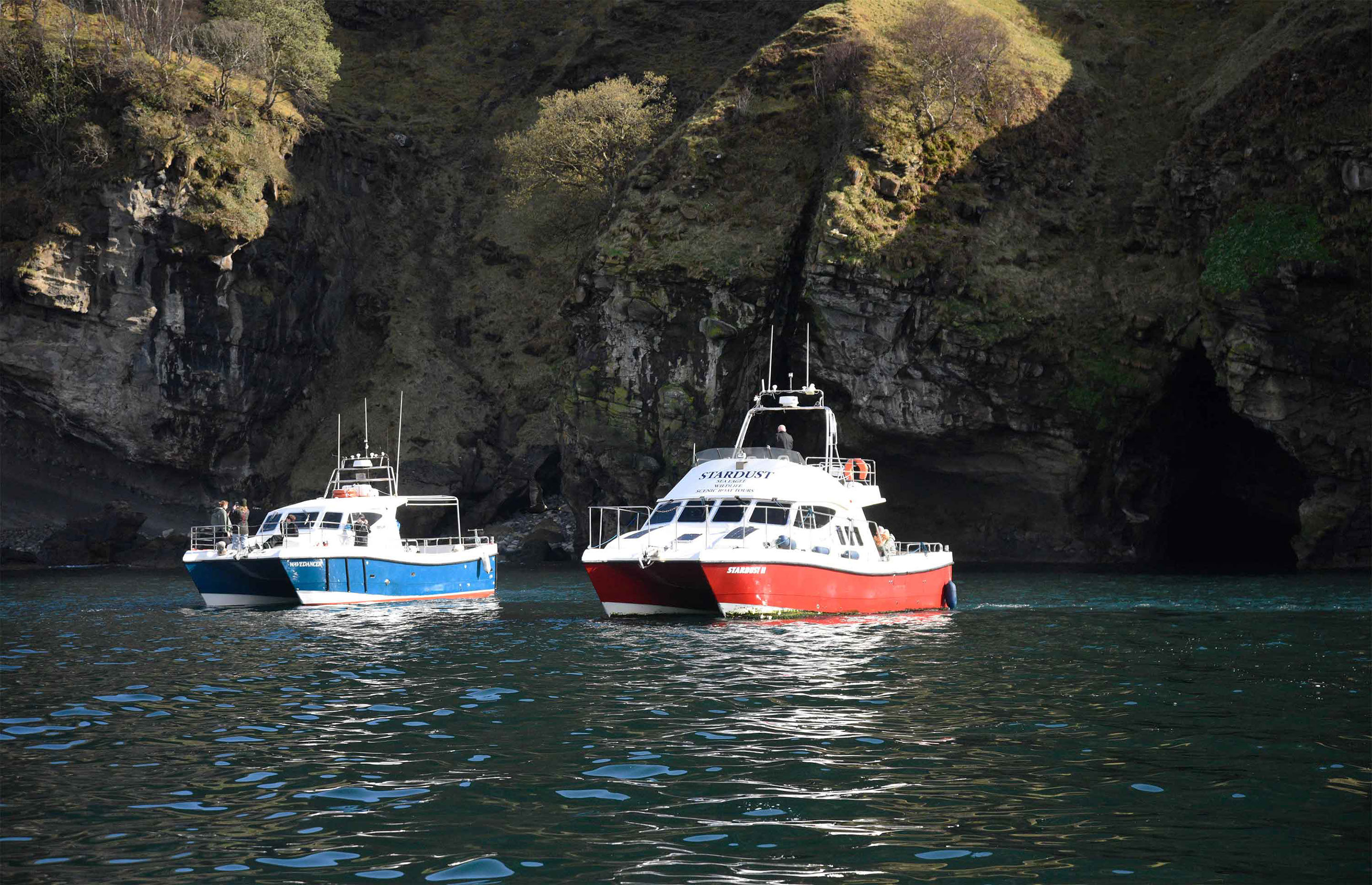 Stardust Boat Trips Boat Tours of the Isle of Skye great scenery including wildlife
