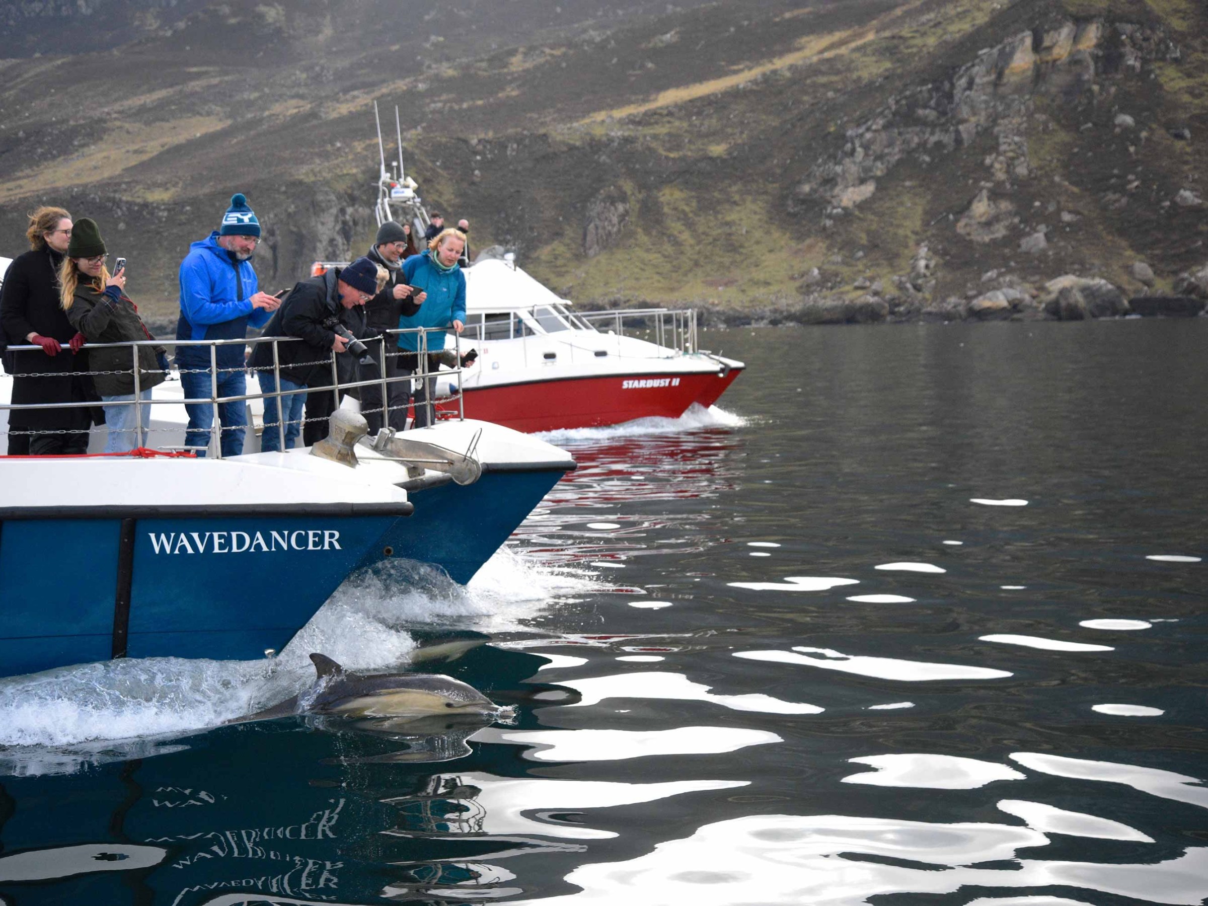 People on boats watching a dolphin swimming near the water surface.