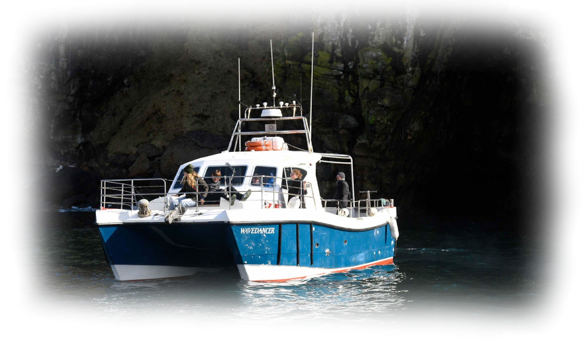 Blue and white boat on water with people onboard.